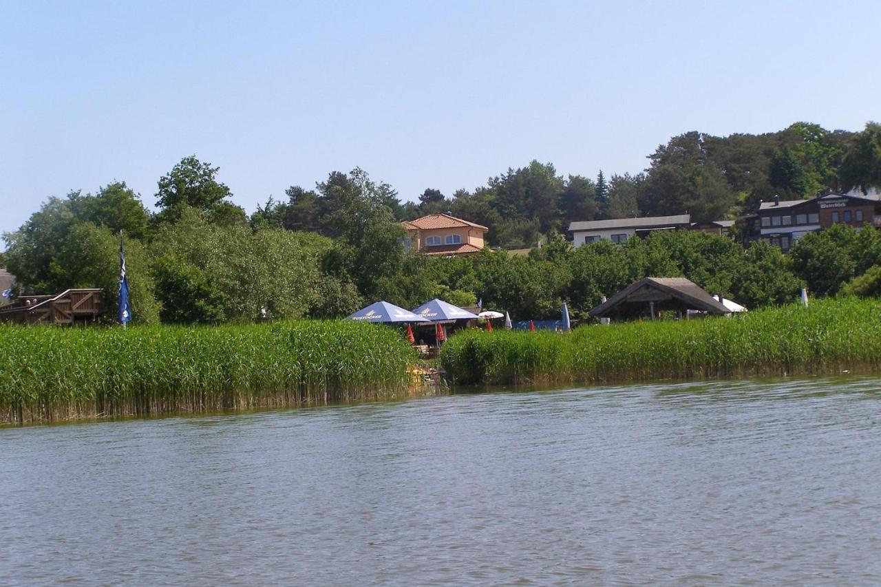 Ferienhaus Vineta Schneckenhus לודין מראה חיצוני תמונה